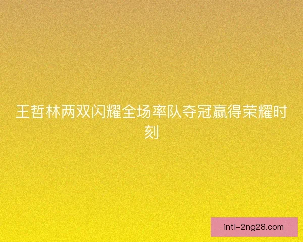 王哲林两双闪耀全场率队夺冠赢得荣耀时刻