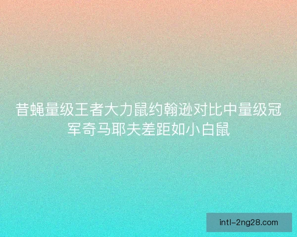 昔蝇量级王者大力鼠约翰逊对比中量级冠军奇马耶夫差距如小白鼠
